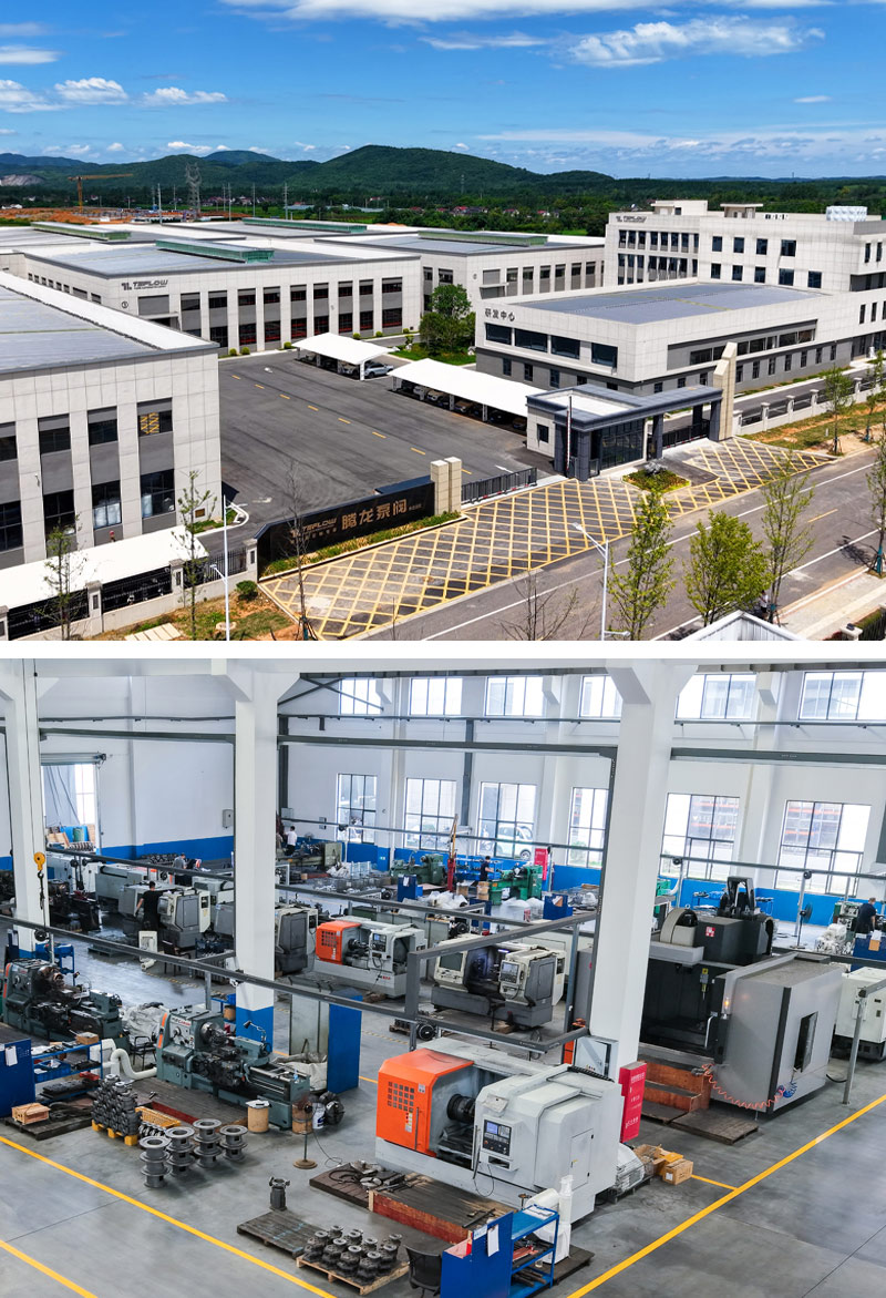 المتخصصين في مضخات مخصصة المغناطيسي - tenglong مضخة وصمام